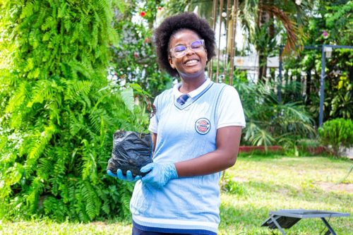 598485916 1381592617005249 1533868044367553187 n