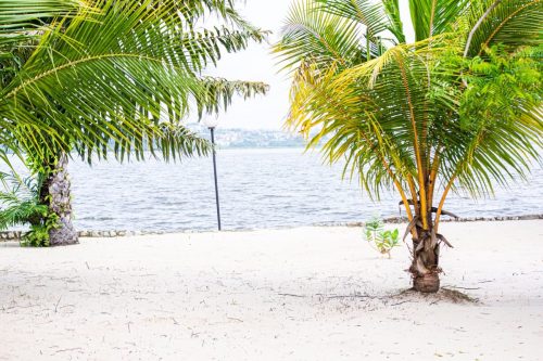 598511197 1381592563671921 5164669337764687476 n