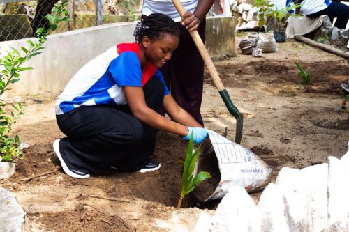 600029615 1381592237005287 6419327686138114560 n