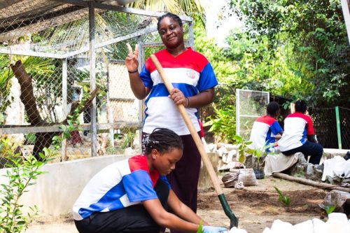 600085934 1381592017005309 539898877593982738 n