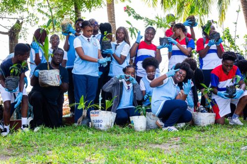 600146993 1381592367005274 6679491486712764876 n