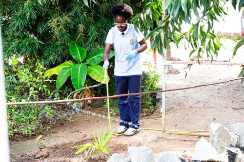 600229937 1381592087005302 2961453557577525328 n