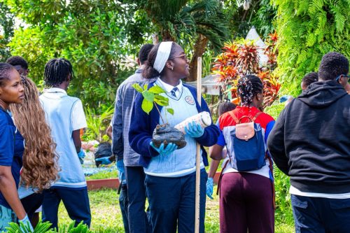 600254819 1381591953671982 5321592754367391664 n