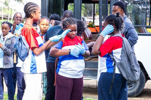 600316515 1381592140338630 9135627334978981431 n